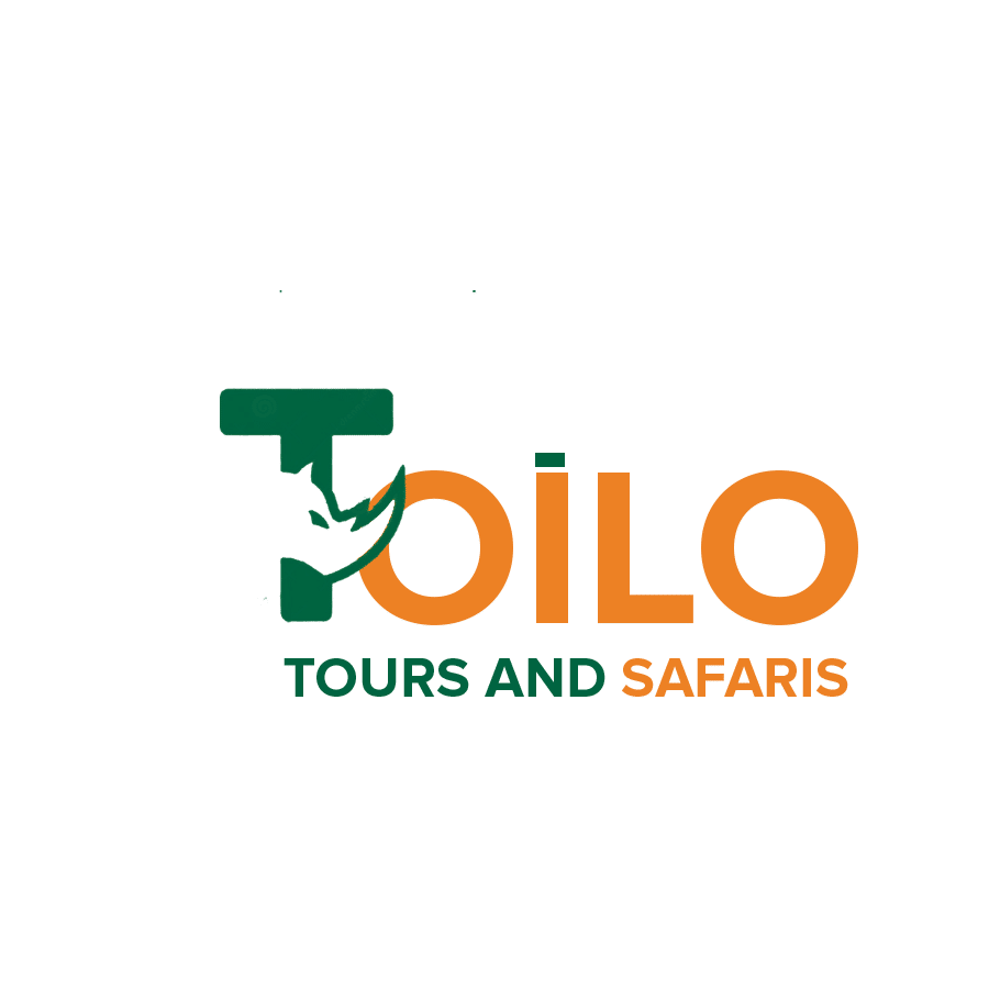 Toilo-1