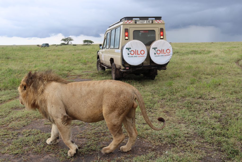 12 Days Tanzania Tented Safari