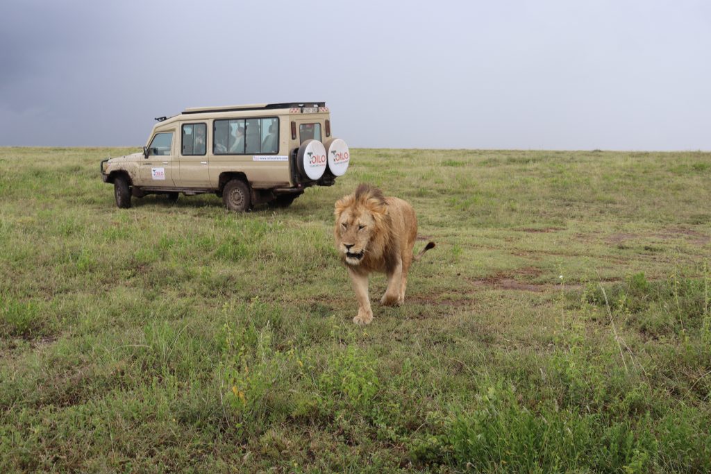 3-Day Serengeti Camping Safari