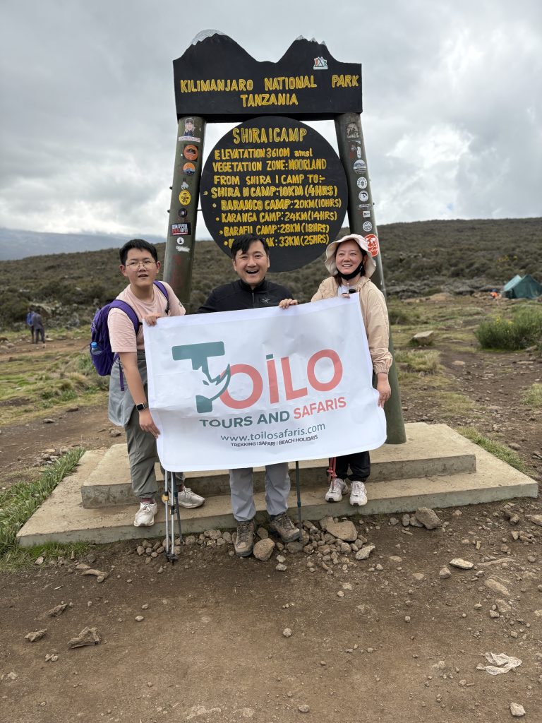 7-Day Shira Route Kilimanjaro