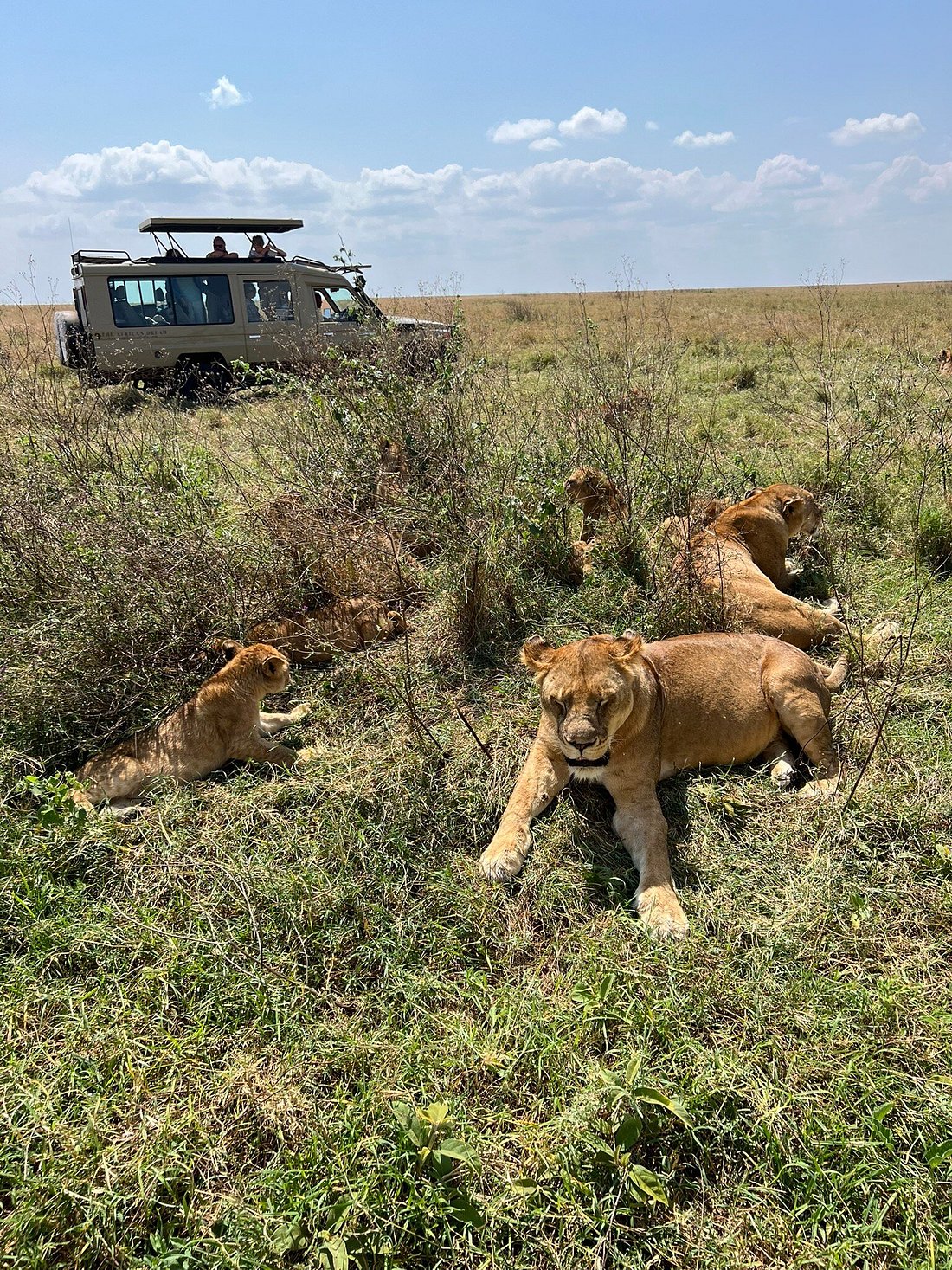 4-Day Tanzania Safari Tour