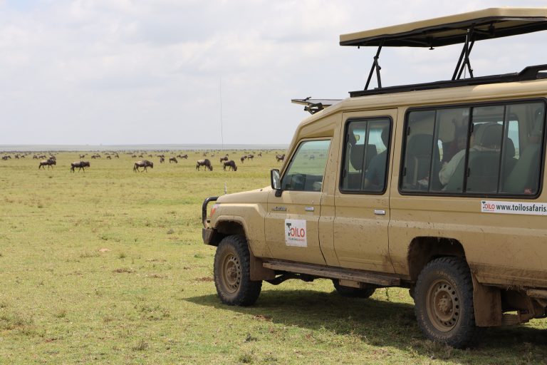 Best Tanzania Safari Tours