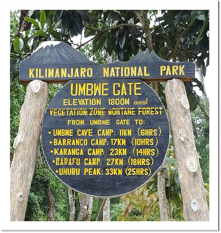 7-Day Umbwe Route Kilimanjaro