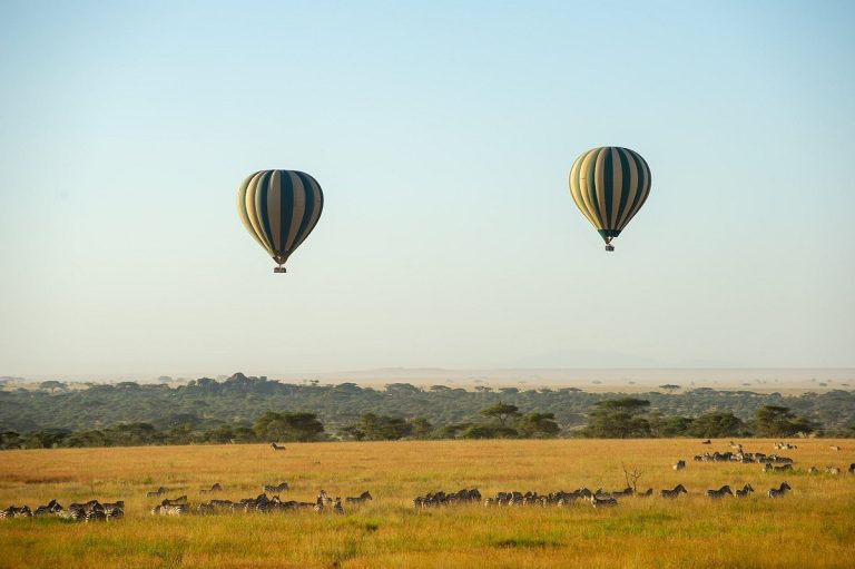 if-you-re-lucky-you-can